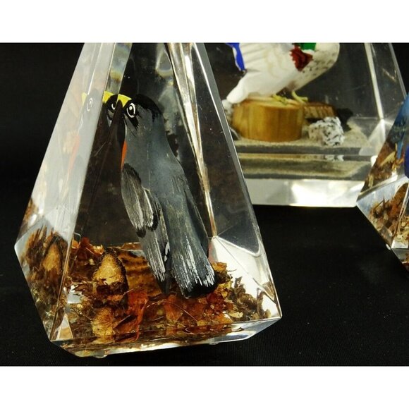 Vintage MCM Clear Lucite Prism Paperweight Lot Birds Canada Wood Carved - Picture 6 of 16